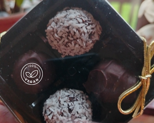 Sea-Kissed Coconut Delights